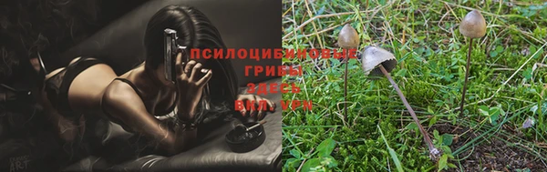jwh Абинск