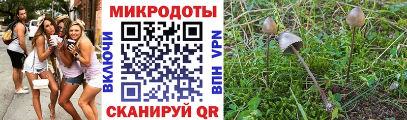 Галлюциногенные грибы GOLDEN TEACHER даркнет как зайти Красавино